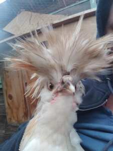 48110887_10213792164940714_1630600169470820352_n