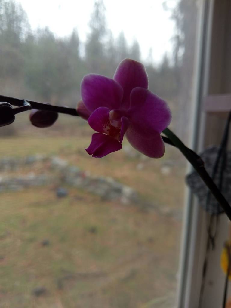 49535953_10213983267678163_6421418171323908096_o