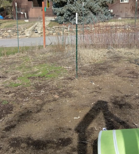 Garden, corner to corner shot (half the garden is probably missing)